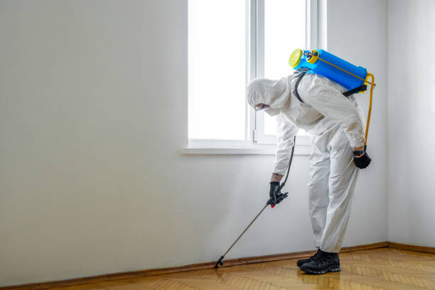 Best Bed Bug Extermination  in Allyn, WA